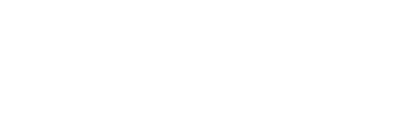 VlokHAUS Corporate Design Group